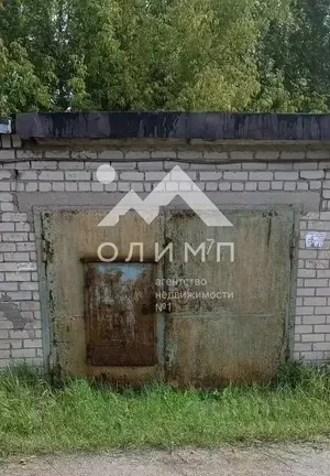 Фото к объявлению #22232358