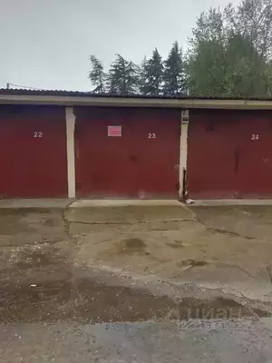 Фото к объявлению #22137127