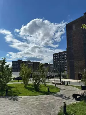 Фото к объявлению #22186308