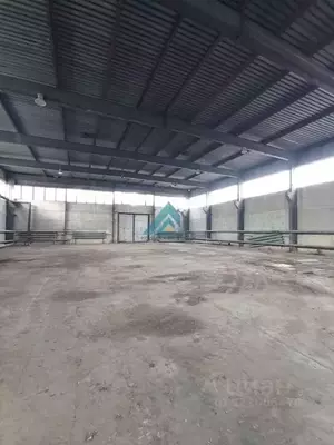 Фото к объявлению #22262248