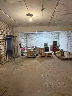 Фото к объявлению #22211441