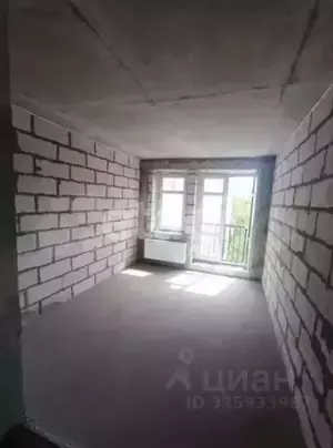 Фото к объявлению #22259755