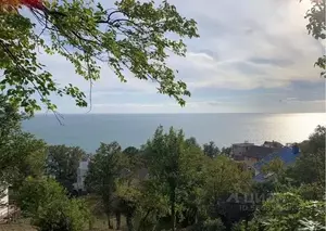 Фото к объявлению #21436831