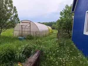 Фото к объявлению #21390371