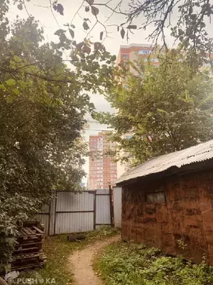 Фото к объявлению #22262590