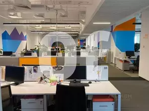 Фото к объявлению #19825530