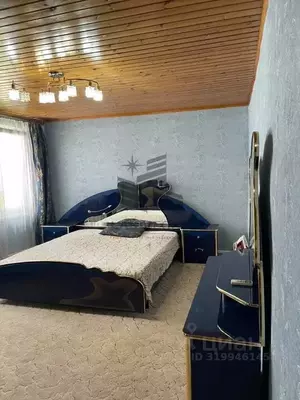 Фото к объявлению #22128089