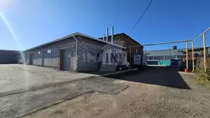 Фото к объявлению #22286516