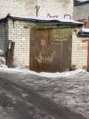 Фото к объявлению #21976847