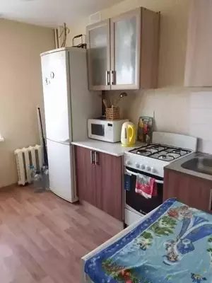 Фото к объявлению #22093057