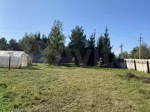 Фото к объявлению #22068393