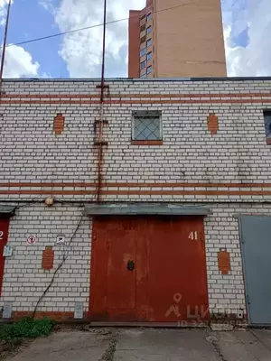 Фото к объявлению #22162153