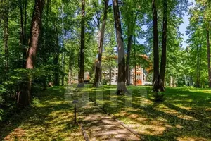 Фото к объявлению #22259571