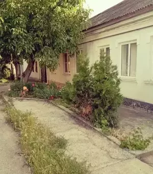 Фото к объявлению #20824601