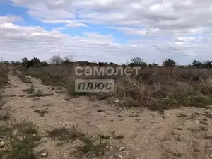 Фото к объявлению #22195835