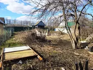 Фото к объявлению #20198703