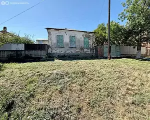 Фото к объявлению #22169154