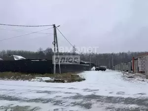 Фото к объявлению #22229378