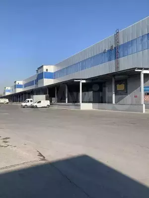 Фото к объявлению #21395371