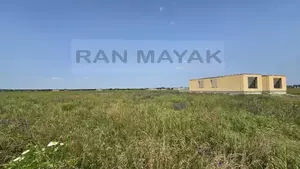 Фото к объявлению #22237870