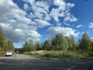 Фото к объявлению #22181155