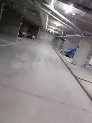 Фото к объявлению #20720265