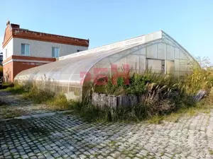 Фото к объявлению #21709736