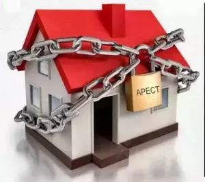 Фото к объявлению #22230713