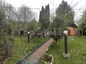 Фото к объявлению #19976399