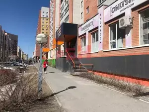 Фото к объявлению #22057153