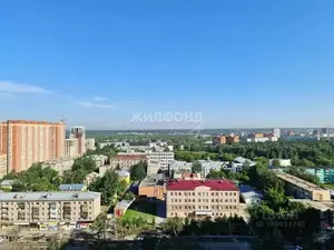 Фото к объявлению #21459232