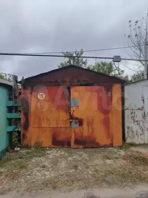 Фото к объявлению #21508146