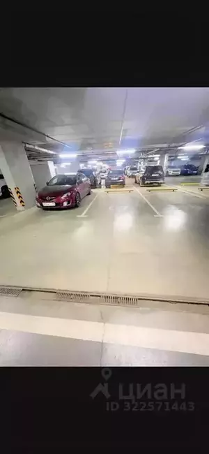 Фото к объявлению #22194771