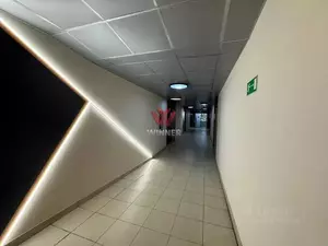 Фото к объявлению #22255220