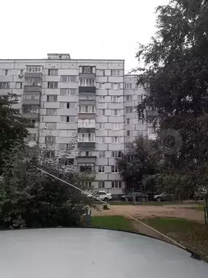 Фото к объявлению #20194852