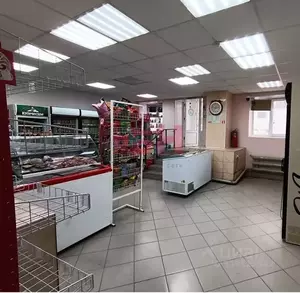 Фото к объявлению #22179120