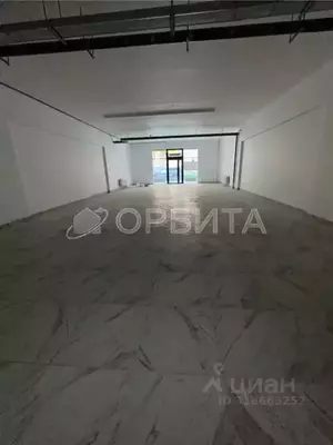 Фото к объявлению #22152684