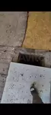 Фото к объявлению #