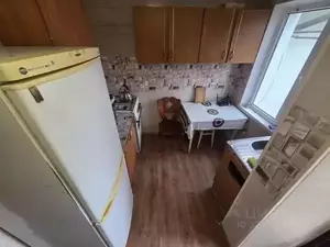 Фото к объявлению #22289714