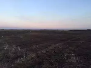 Фото к объявлению #22154892