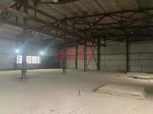 Фото к объявлению #22075531