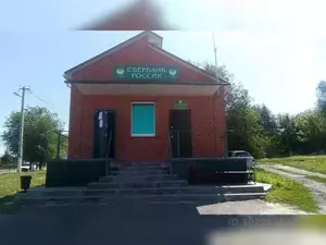 Фото к объявлению #21557174