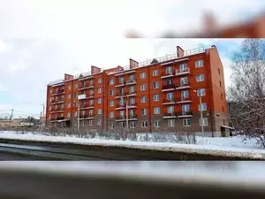 Фото к объявлению #22149141