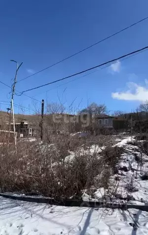 Фото к объявлению #22067506