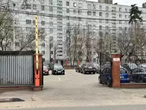 Фото к объявлению #20990771