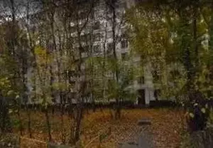 Фото к объявлению #21482151