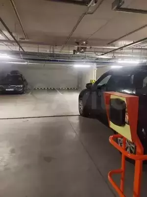 Фото к объявлению #21568046