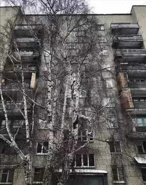 Фото к объявлению #22059566