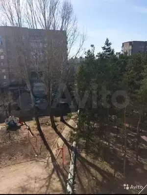 Фото к объявлению #20311750
