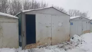 Фото к объявлению #21990361